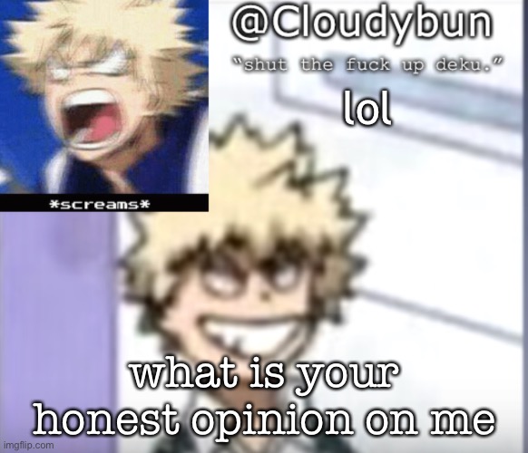 Bakuhoe | lol; what is your honest opinion on me | image tagged in bakuhoe | made w/ Imgflip meme maker