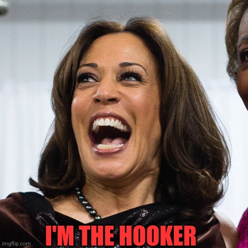 I'M THE HOOKER | made w/ Imgflip meme maker