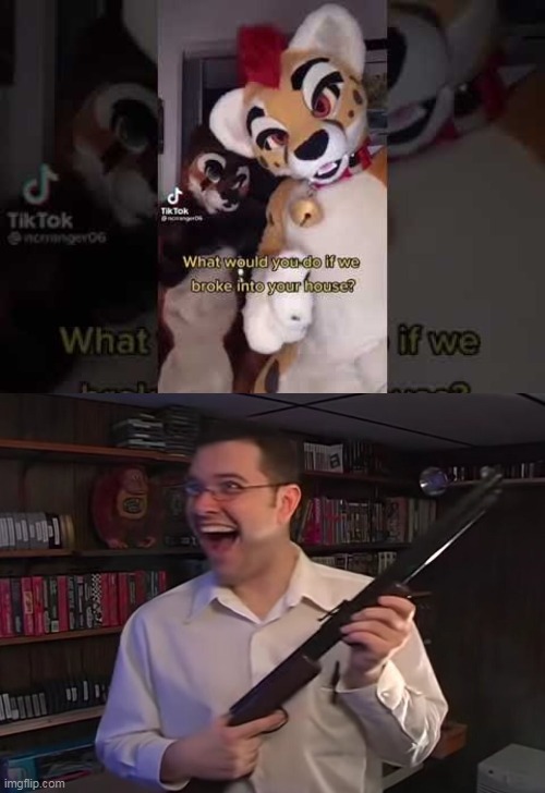 image tagged in memes,avgn,furry | made w/ Imgflip meme maker