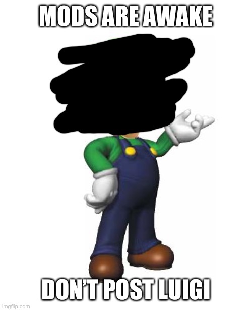 Logic Luigi | MODS ARE AWAKE; DON’T POST LUIGI | image tagged in logic luigi | made w/ Imgflip meme maker