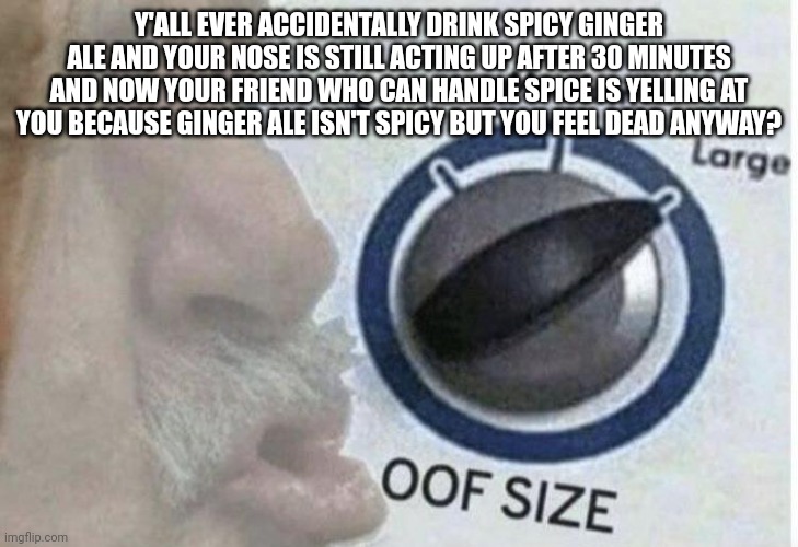 @nar | Y'ALL EVER ACCIDENTALLY DRINK SPICY GINGER ALE AND YOUR NOSE IS STILL ACTING UP AFTER 30 MINUTES AND NOW YOUR FRIEND WHO CAN HANDLE SPICE IS YELLING AT YOU BECAUSE GINGER ALE ISN'T SPICY BUT YOU FEEL DEAD ANYWAY? | image tagged in oof size large | made w/ Imgflip meme maker