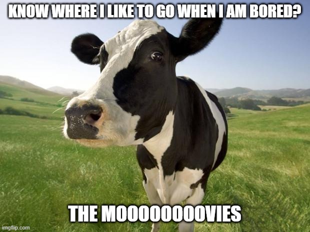 Cow Cringe | KNOW WHERE I LIKE TO GO WHEN I AM BORED? THE MOOOOOOOOVIES | image tagged in cow | made w/ Imgflip meme maker