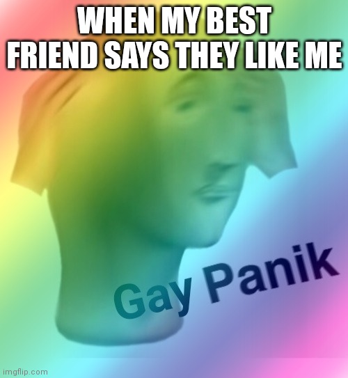 Gay Panik | WHEN MY BEST FRIEND SAYS THEY LIKE ME | image tagged in gay panik | made w/ Imgflip meme maker