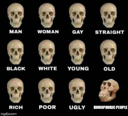 idiot skull | HOMOPHOBIC PEOPLE | image tagged in idiot skull | made w/ Imgflip meme maker