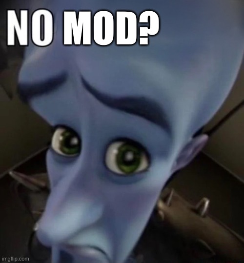 New users be like: | MOD? | image tagged in no bitches | made w/ Imgflip meme maker