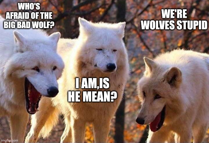 Laughing wolf | WHO'S AFRAID OF THE BIG BAD WOLF? WE'RE WOLVES STUPID; I AM,IS HE MEAN? | image tagged in laughing wolf | made w/ Imgflip meme maker