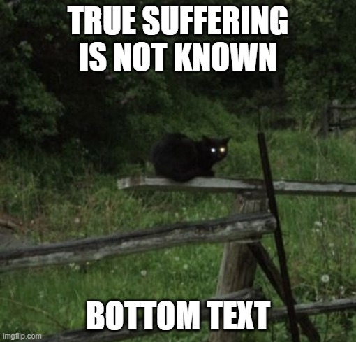 cat staring | TRUE SUFFERING IS NOT KNOWN; BOTTOM TEXT | image tagged in cat staring | made w/ Imgflip meme maker