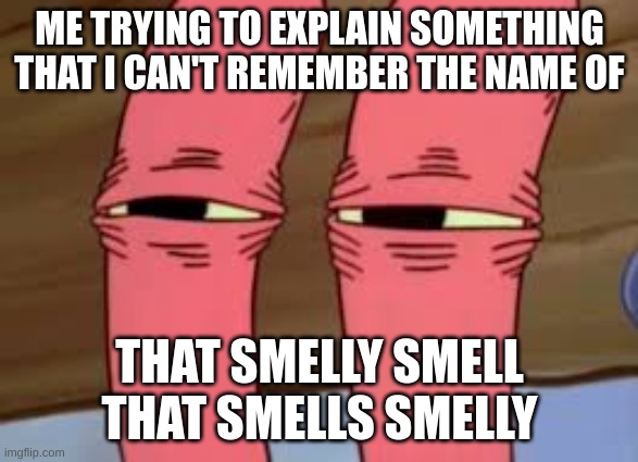 Mr. Krabs Smelly Smell | ME TRYING TO EXPLAIN SOMETHING THAT I CAN'T REMEMBER THE NAME OF; THAT SMELLY SMELL THAT SMELLS SMELLY | image tagged in mr krabs smelly smell | made w/ Imgflip meme maker