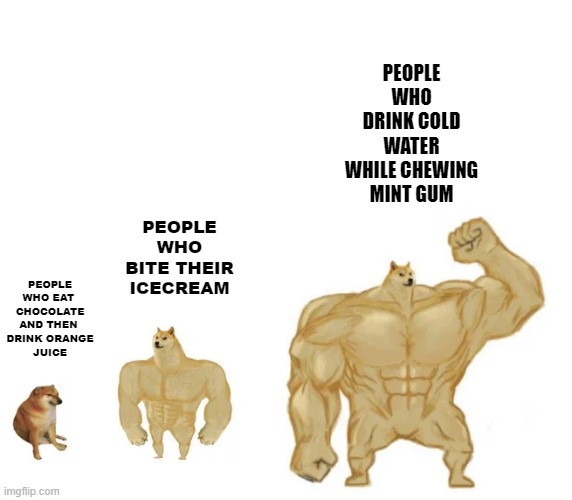 cheems, buff doge, ultra doge | PEOPLE WHO DRINK COLD WATER WHILE CHEWING MINT GUM; PEOPLE WHO BITE THEIR ICECREAM; PEOPLE
WHO EAT 
CHOCOLATE
AND THEN 
DRINK ORANGE
JUICE | image tagged in cheems buff doge ultra doge | made w/ Imgflip meme maker