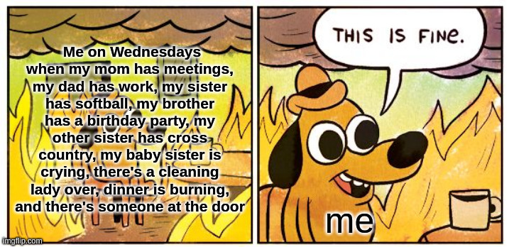 Yes I do have 4 siblings | Me on Wednesdays when my mom has meetings, my dad has work, my sister has softball, my brother has a birthday party, my other sister has cross country, my baby sister is crying, there's a cleaning lady over, dinner is burning, and there's someone at the door; me | image tagged in memes,this is fine | made w/ Imgflip meme maker