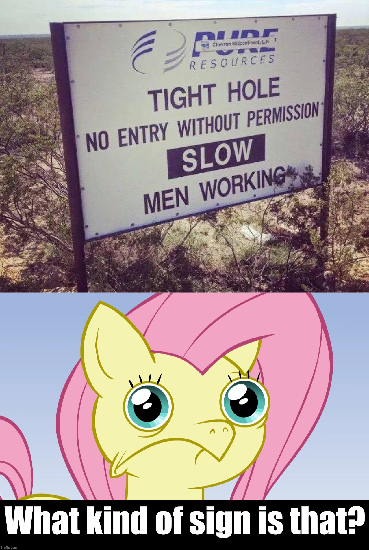 Not sure what this means. | What kind of sign is that? | image tagged in uncomfortable fluttershy,funny signs,you had one job | made w/ Imgflip meme maker