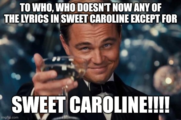 Leonardo Dicaprio Cheers Meme | TO WHO, WHO DOESN'T NOW ANY OF THE LYRICS IN SWEET CAROLINE EXCEPT FOR; SWEET CAROLINE!!!! | image tagged in memes,leonardo dicaprio cheers | made w/ Imgflip meme maker