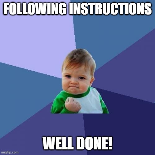 Teamwork | FOLLOWING INSTRUCTIONS; WELL DONE! | image tagged in memes,success kid | made w/ Imgflip meme maker