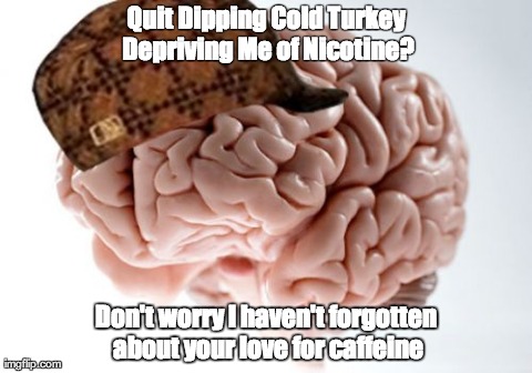 Scumbag Brain Meme | Quit Dipping Cold Turkey Depriving Me of Nicotine? Don't worry I haven't forgotten about your love for caffeine | image tagged in memes,scumbag brain | made w/ Imgflip meme maker