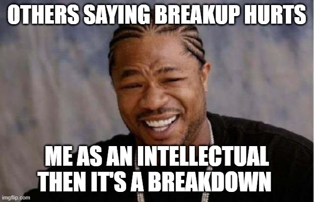 What's a breakup ? | OTHERS SAYING BREAKUP HURTS; ME AS AN INTELLECTUAL THEN IT'S A BREAKDOWN | image tagged in memes,yo dawg heard you | made w/ Imgflip meme maker