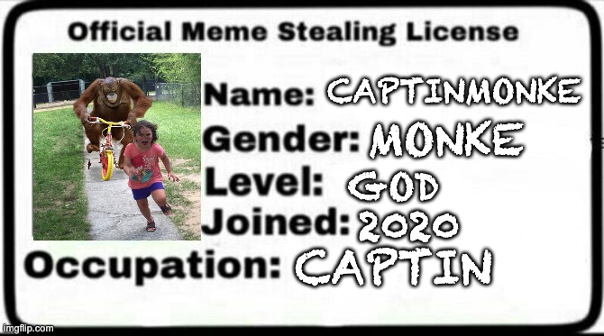 Meme Stealing License | CAPTINMONKE; MONKE; GOD; 2020; CAPTIN | image tagged in meme stealing license | made w/ Imgflip meme maker