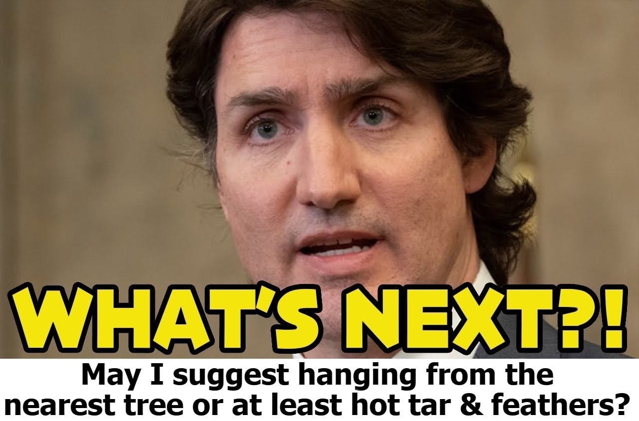 What's next for Trudeau? | image tagged in trudeau,hanging,hot tar and feathers,sedition,treason,tyranny | made w/ Imgflip meme maker