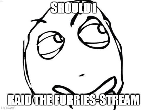 Question Rage Face | SHOULD I; RAID THE FURRIES-STREAM | image tagged in memes,question rage face | made w/ Imgflip meme maker