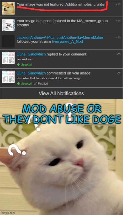 MOD ABUSE OR THEY DONT LIKE DOGE | image tagged in cat confused,memes,funny,msmg | made w/ Imgflip meme maker