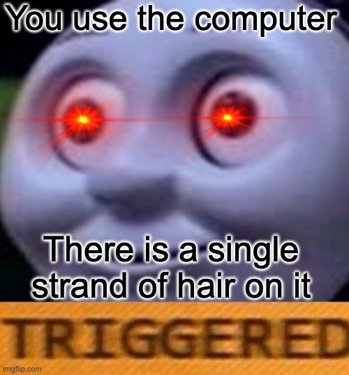 Triggered | You use the computer; There is a single strand of hair on it | image tagged in triggered | made w/ Imgflip meme maker