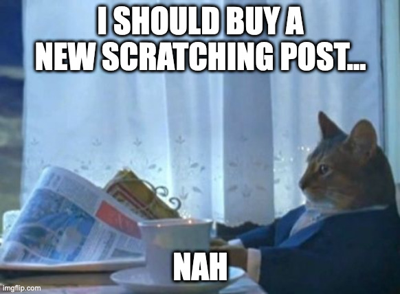 I Should Buy A Boat Cat | I SHOULD BUY A NEW SCRATCHING POST... NAH | image tagged in memes,i should buy a boat cat | made w/ Imgflip meme maker