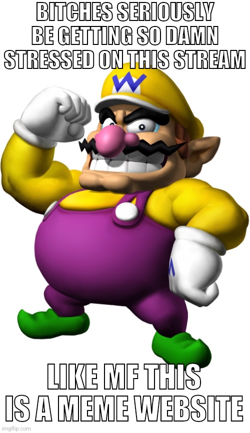 Wario | BITCHES SERIOUSLY BE GETTING SO DAMN STRESSED ON THIS STREAM; LIKE MF THIS IS A MEME WEBSITE | image tagged in wario | made w/ Imgflip meme maker