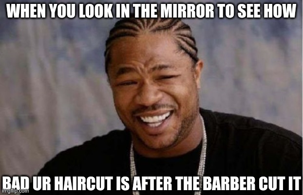 Yo Dawg Heard You |  WHEN YOU LOOK IN THE MIRROR TO SEE HOW; BAD UR HAIRCUT IS AFTER THE BARBER CUT IT | image tagged in memes,yo dawg heard you | made w/ Imgflip meme maker