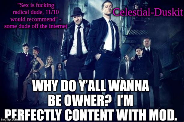 Duskit’s Gotham temp | WHY DO Y’ALL WANNA BE OWNER?  I’M PERFECTLY CONTENT WITH MOD. | image tagged in duskit s gotham temp | made w/ Imgflip meme maker