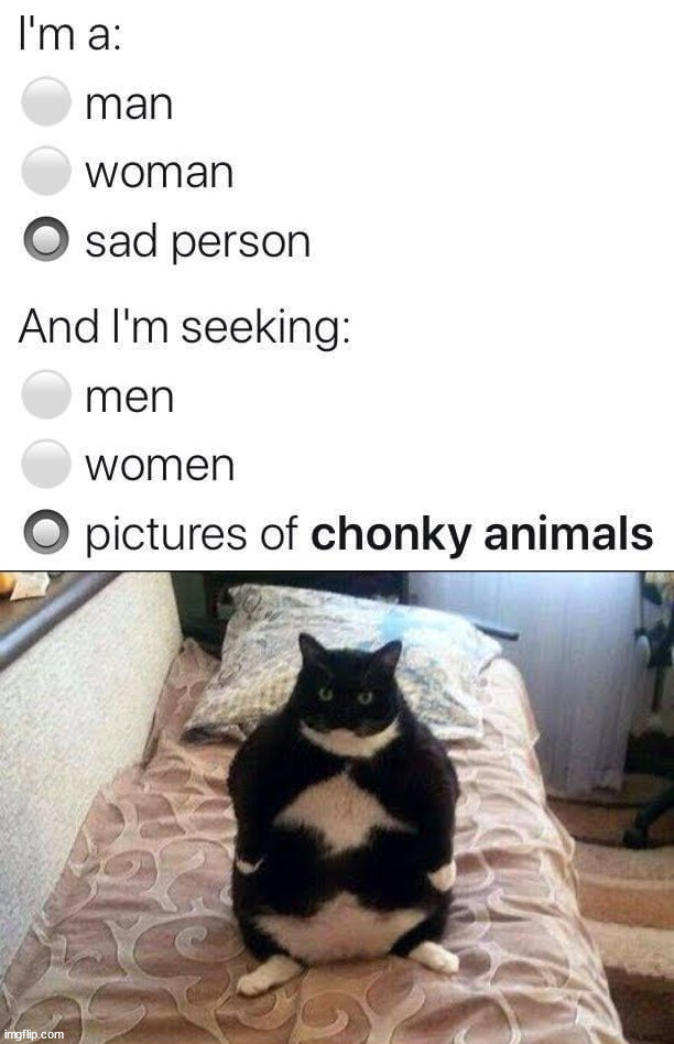 image tagged in chonki babbie hungy,depression | made w/ Imgflip meme maker