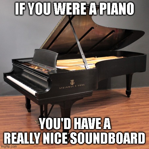 If ya know what I mean ;) | IF YOU WERE A PIANO; YOU'D HAVE A REALLY NICE SOUNDBOARD | made w/ Imgflip meme maker