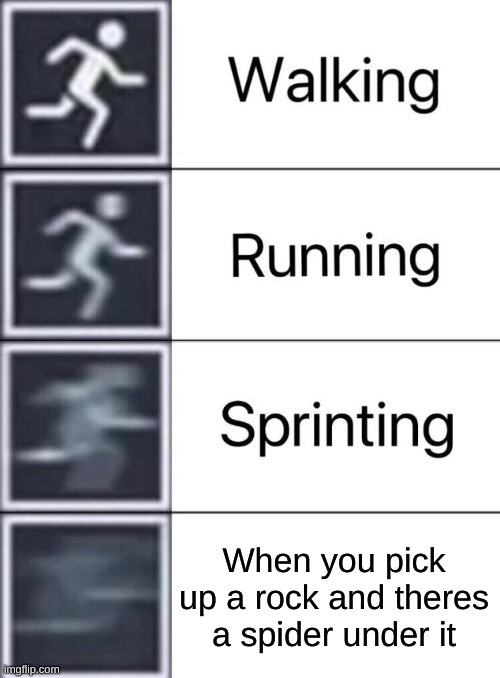 Walking, Running, Sprinting | When you pick up a rock and theres a spider under it | image tagged in walking running sprinting | made w/ Imgflip meme maker