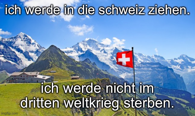 dummkopf | ich werde in die schweiz ziehen. ich werde nicht im dritten weltkrieg sterben. | made w/ Imgflip meme maker