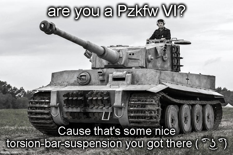 If you know you know | are you a Pzkfw VI? Cause that's some nice torsion-bar-suspension you got there ( ͡° ͜ʖ ͡°) | made w/ Imgflip meme maker
