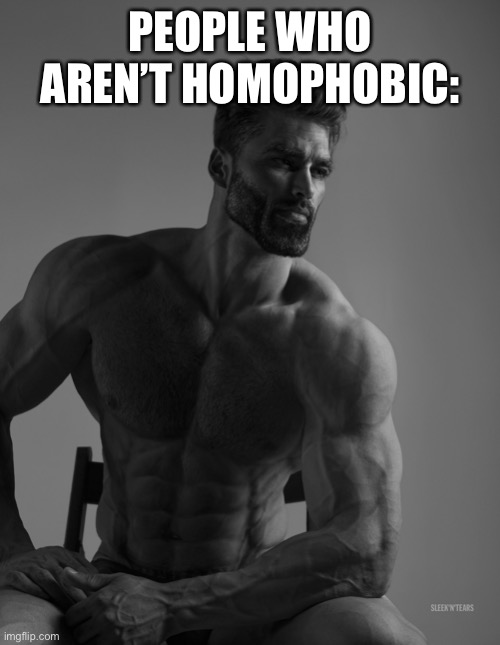 If you’re homophobic that’s pretty cringe ngl | PEOPLE WHO AREN’T HOMOPHOBIC: | image tagged in giga chad | made w/ Imgflip meme maker