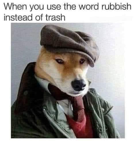 meme generator image preview