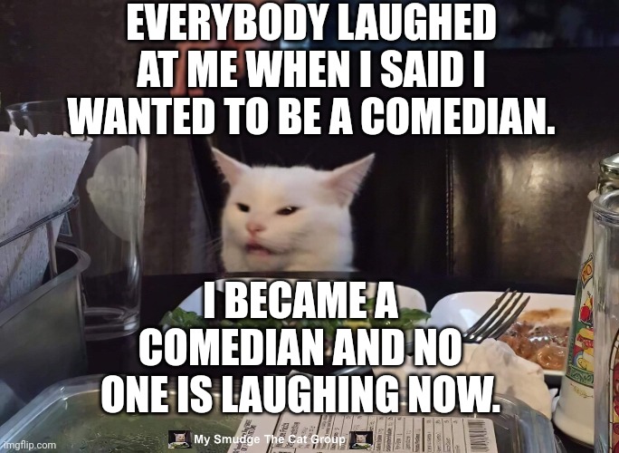 EVERYBODY LAUGHED AT ME WHEN I SAID I WANTED TO BE A COMEDIAN. I BECAME A COMEDIAN AND NO ONE IS LAUGHING NOW. | image tagged in smudge the cat | made w/ Imgflip meme maker