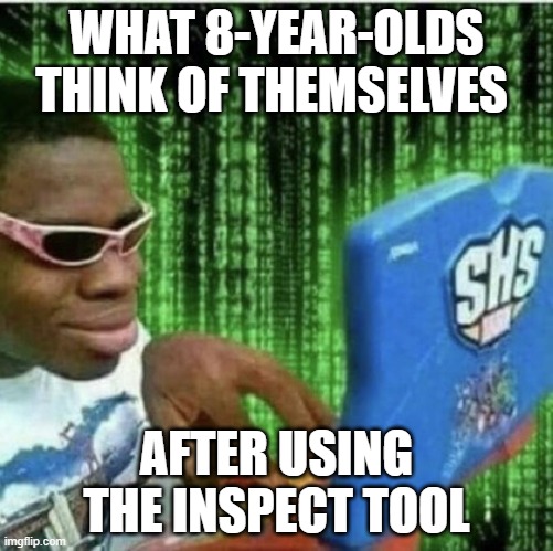 Ryan Beckford |  WHAT 8-YEAR-OLDS THINK OF THEMSELVES; AFTER USING THE INSPECT TOOL | image tagged in ryan beckford,hackers,young,kids | made w/ Imgflip meme maker