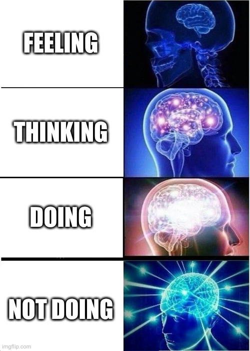 Not doing ftw | FEELING; THINKING; DOING; NOT DOING | image tagged in memes,expanding brain | made w/ Imgflip meme maker