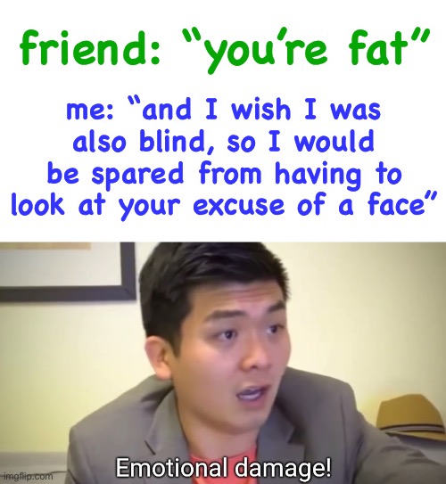 Never roast a memer. |  me: “and I wish I was also blind, so I would be spared from having to look at your excuse of a face”; friend: “you’re fat” | image tagged in emotional damage,funny,roasted,destruction 100,oof size large | made w/ Imgflip meme maker