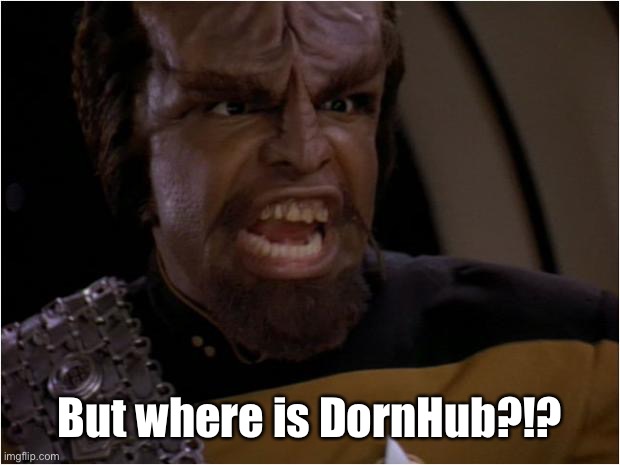 But where is DornHub?!? | image tagged in worf yelling | made w/ Imgflip meme maker