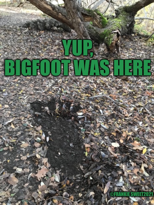Yup, Bigfoot was here | YUP, BIGFOOT WAS HERE; ©FRANKIE SWEET2021 | image tagged in bigfoot,feet,yeti,forest,big ape,wildlife | made w/ Imgflip meme maker