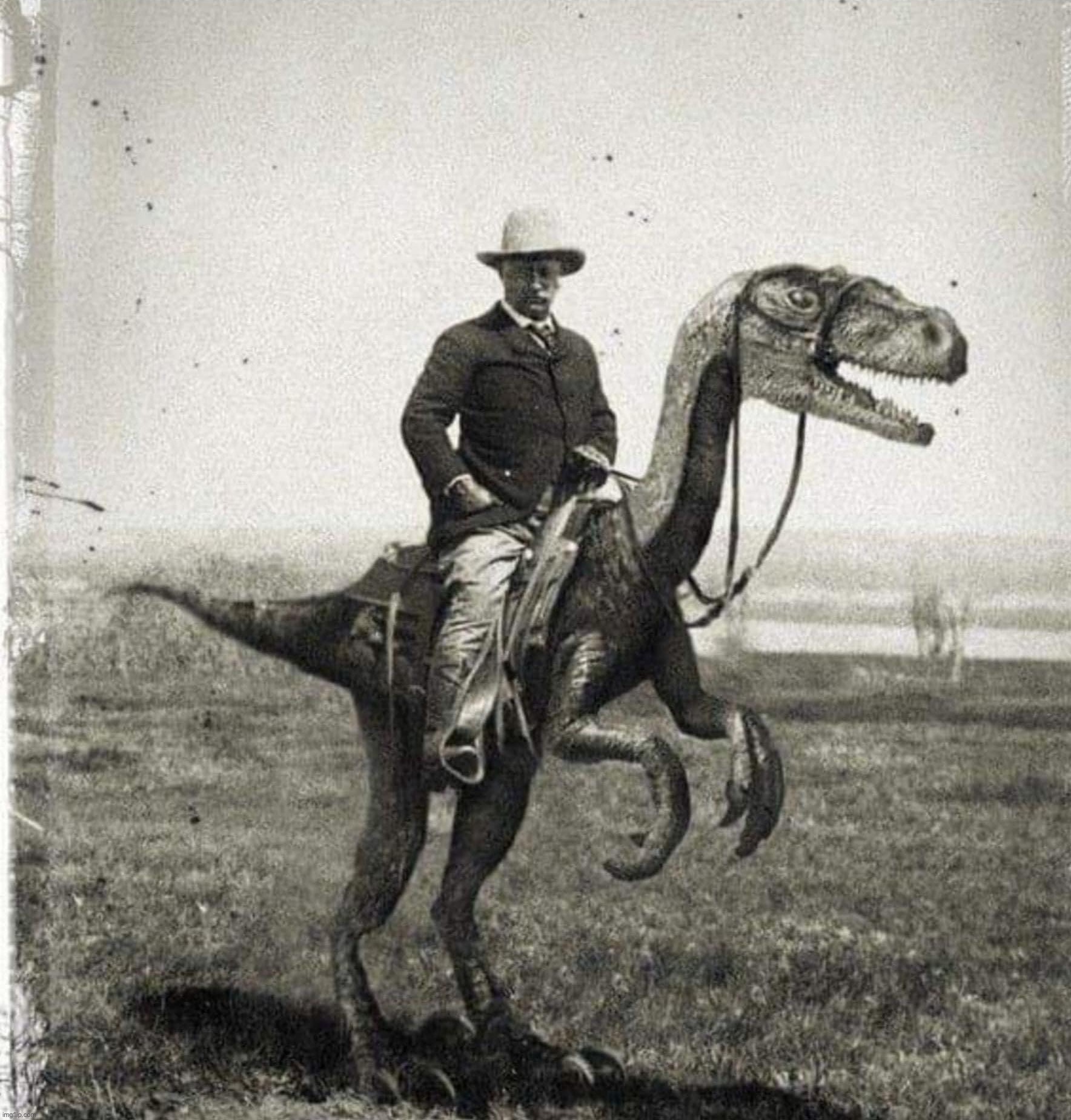 Teddy Roosevelt on a velociraptor | image tagged in teddy roosevelt on a velociraptor | made w/ Imgflip meme maker