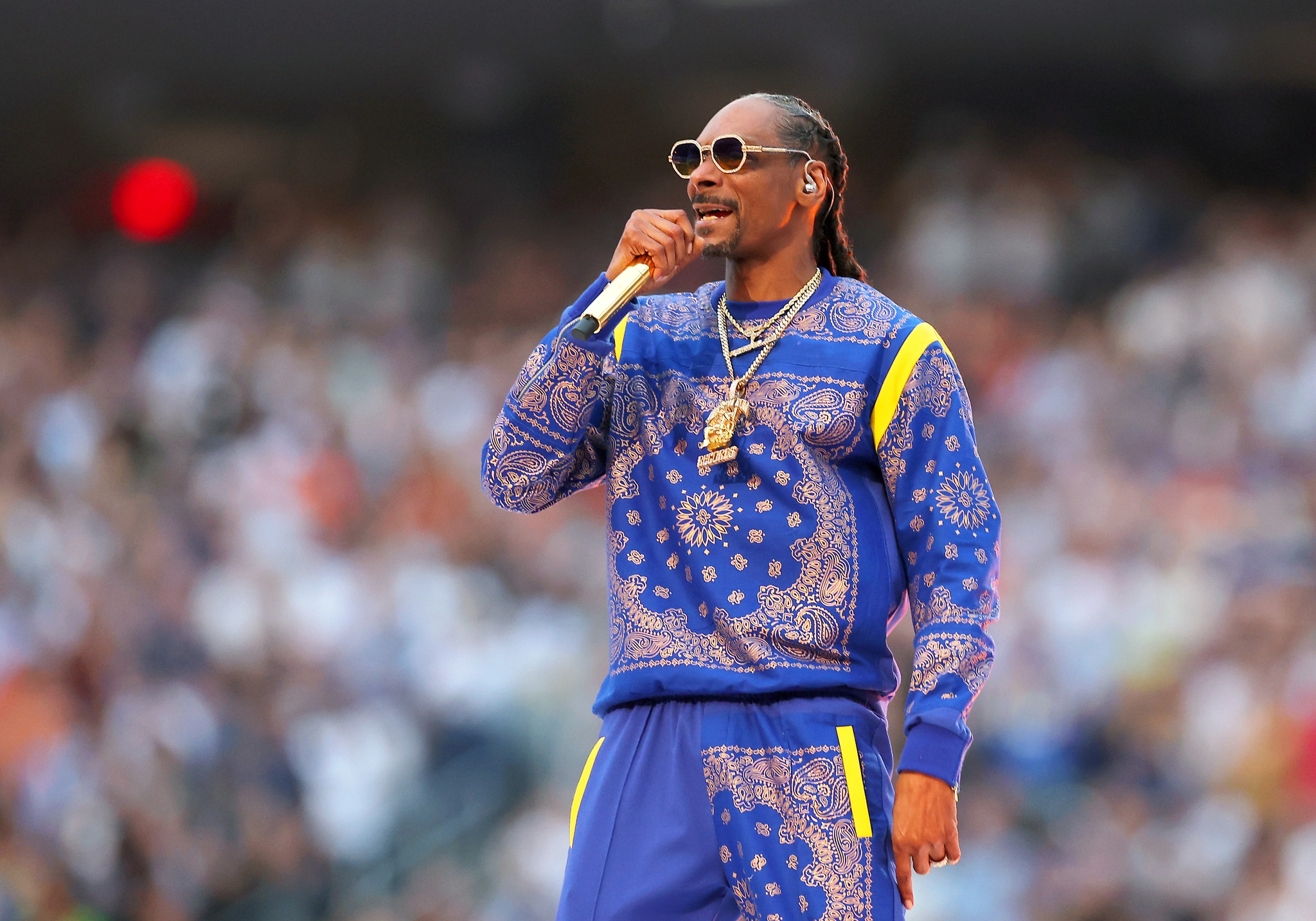 High Quality Snoop Dog Super Bowl Blank Meme Template