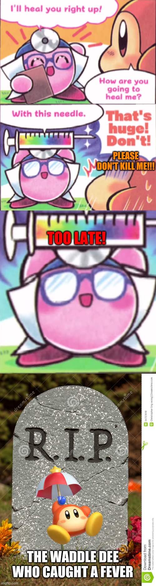 waddle dees end. | PLEASE DON'T KILL ME!!! TOO LATE! THE WADDLE DEE WHO CAUGHT A FEVER | image tagged in funny memes | made w/ Imgflip meme maker