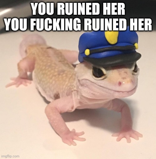 Officer Geck | YOU RUINED HER YOU FUCKING RUINED HER | image tagged in officer geck | made w/ Imgflip meme maker