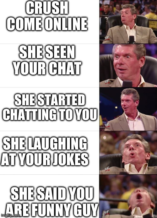 Crush come online she seen your chat | CRUSH COME ONLINE; SHE SEEN YOUR CHAT; SHE STARTED CHATTING TO YOU; SHE LAUGHING AT YOUR JOKES; SHE SAID YOU ARE FUNNY GUY | image tagged in mcmahon | made w/ Imgflip meme maker