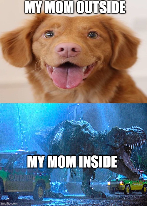my mom | MY MOM OUTSIDE; MY MOM INSIDE | image tagged in memes | made w/ Imgflip meme maker