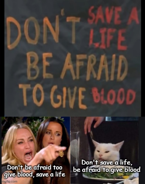  Don't save a life, be afraid to give blood; Don't be afraid too give blood, save a life | image tagged in karen carpenter and smudge cat | made w/ Imgflip meme maker