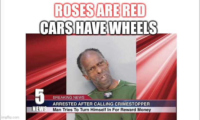 If only it was that easy | ROSES ARE RED; CARS HAVE WHEELS | image tagged in blank white template,breaking news | made w/ Imgflip meme maker