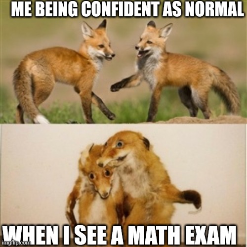 Party Fox | ME BEING CONFIDENT AS NORMAL; WHEN I SEE A MATH EXAM | image tagged in party fox | made w/ Imgflip meme maker